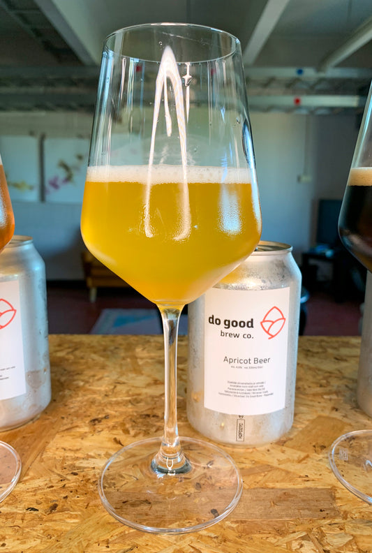 Do Good Brew Apricot Beer